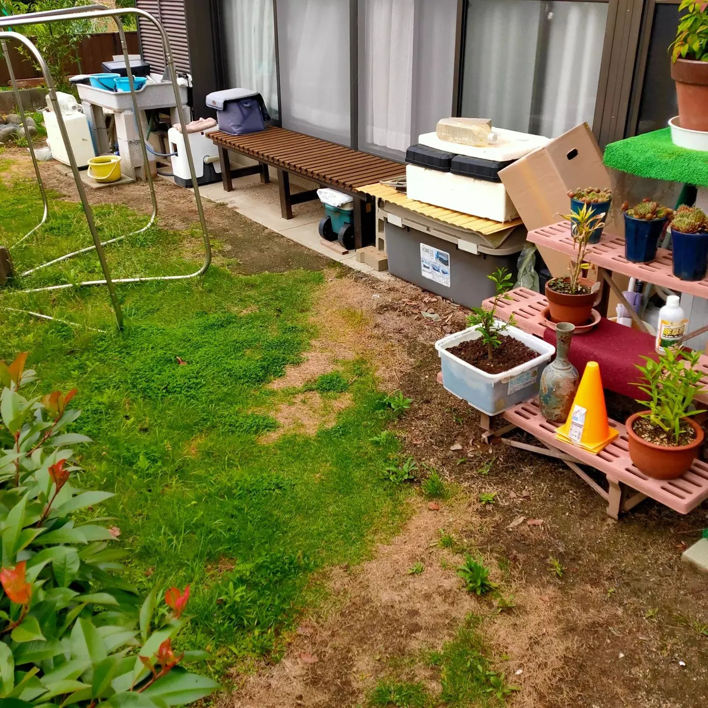 🌿🏗️ 天然芝から人工芝へ 🌟